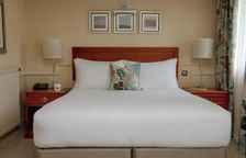 Одноместный полулюкс