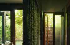 Люкс Plunge Pool Alcove