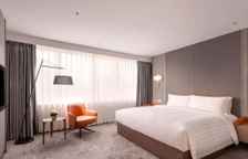 Двухместная Студия Skyway с доступом в клубный лаунж