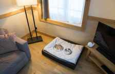 Одноместный семейный люкс