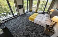 Двухместный номер Deluxe c 1 комнатой с видом на реку