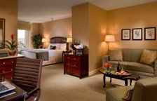 Одноместный люкс c 1 комнатой