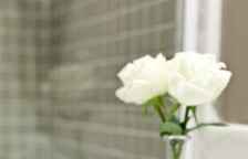 Одноместный номер Standard