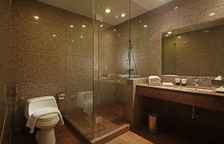 Двухместный номер Premier