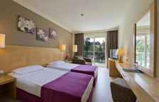 Двухместный номер Standard с видом на сад