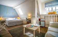 Одноместный номер Classic с видом на сад