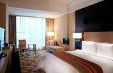 Двухместный номер Executive доступ в лаунж верхний этаж