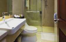 Двухместный номер Premium с видом на город