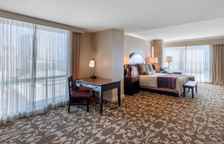 Двухместный номер Premier