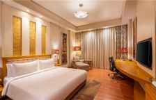 Одноместный номер Premium