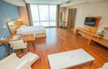 Номер Deluxe с видом на город