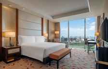 Номер Deluxe с видом на город