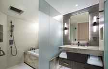 Одноместный семейный номер Premier