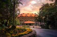 Одноместный полулюкс Executive