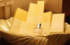 Номер Business с видом на город