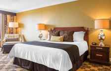 Двухместный номер Premier с видом на город