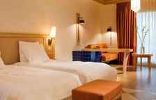 Двухместный номер (Palm Wing) Standard со стороны сада