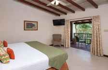 Одноместный номер Standard с видом на сад