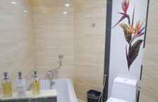 Одноместный номер Premier