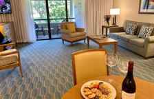 Одноместный люкс Deluxe с 2 комнатами