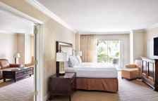 Двухместный люкс Executive c 1 комнатой с балконом