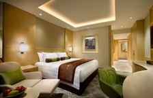 Двухместный клубный полулюкс