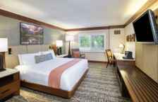 Двухместный номер Premium