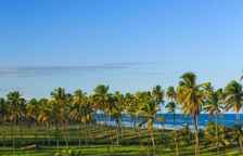 Семейный номер Standard