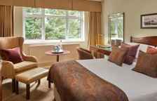 Двухместный номер Standard