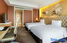 Двухместный семейный номер Standard с видом на город