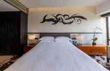 Двухместный номер Premier с видом на город