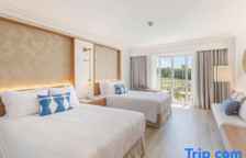 Четырёхместный номер Superior