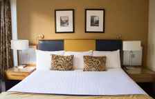 Одноместный семейный номер Standard