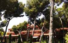 Трёхместный номер Standard с видом на бассейн