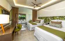 Четырёхместный Полулюкс Premium Tropical View