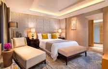 Двухместный люкс Presidential c 1 комнатой