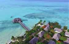 Одноместное бунгало Standard