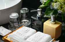 Двухместный номер Standard с видом на город