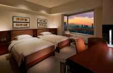 Двухместный номер с видом на город