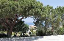 Одноместный номер Standard Цокольный этаж