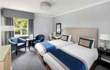 Двухместный семейный номер Standard