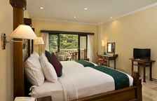 Двухместный номер Premier с видом на долину или на бассейн