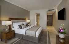 Одноместный номер Executive