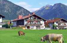 Двухместная студия Deluxe