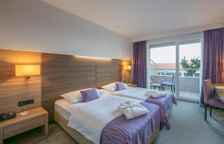 Двухместный номер Standard with park side view