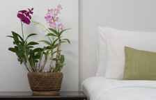 Двухместный номер Classic