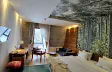 Двухместный номер Standard с балконом