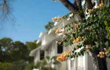 Одноместные апартаменты