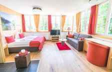 Одноместная студия