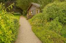 Одноместный полулюкс